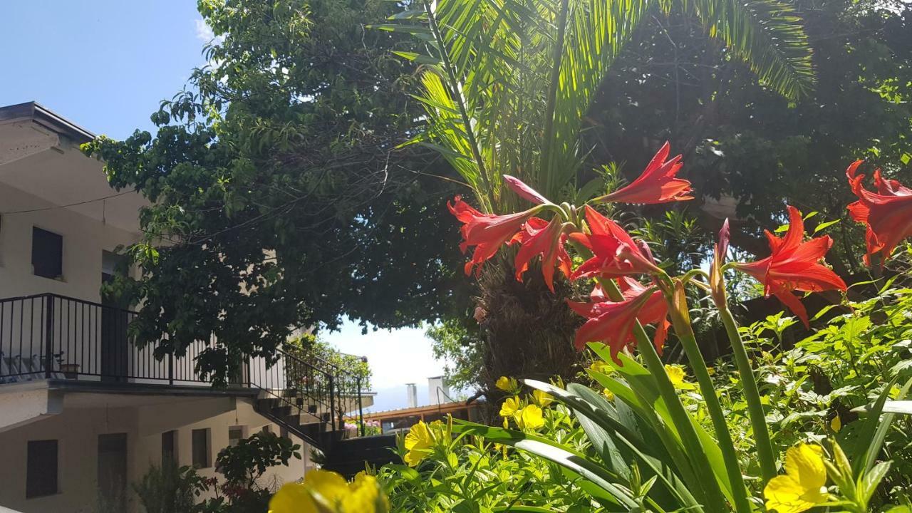 Rooms Lake View Balani Restaurant شكودر المظهر الخارجي الصورة